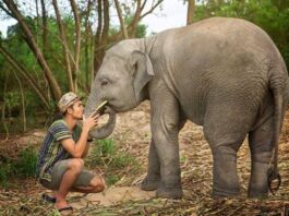 รวมฮิตที่เที่ยวในพัทยา เที่ยวยังไงให้สัมผัสธรรมชาติ ที่เที่ยวในพัทยา