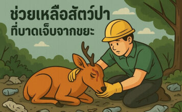 ช่วยเหลือสัตว์ป่าที่บาดเจ็บจากขยะ วิธีลดผลกระทบและทางออกเพื่อธรรมชาติ ช่วยเหลือสัตว์ป่าที่บาดเจ็บจากขยะ