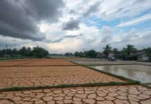 เอลนีโญ vs ลานีญา กระทบประเทศไทยอย่างไร ทำไมบางปีแล้งจัด บางปีฝนถล่ม เอลนีโญ vs ลานีญา กระทบประเทศไทยอย่างไร ทำไมบางปีแล้งจัด บางปีฝนถล่ม